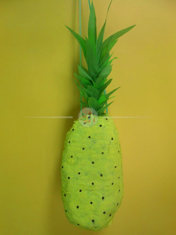 dscn0255